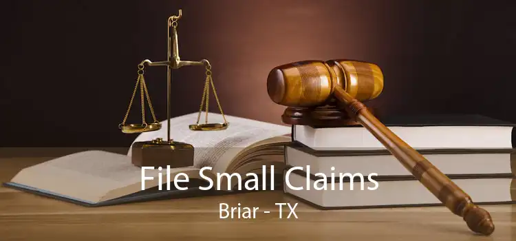 File Small Claims Briar - TX