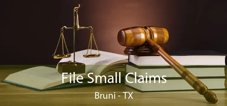  File Small Claims Bruni - TX