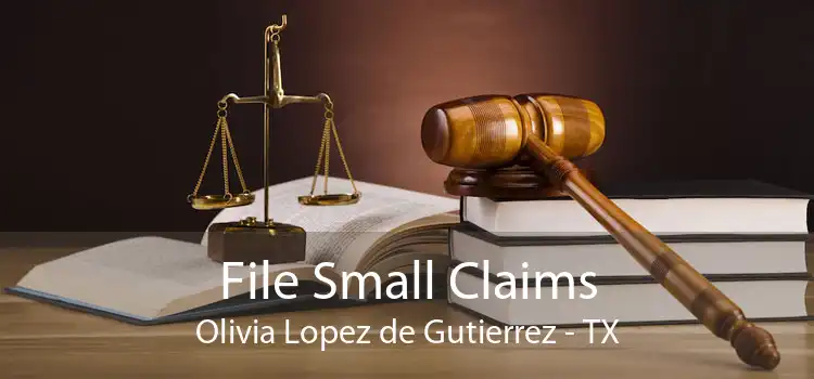 File Small Claims Olivia Lopez de Gutierrez - TX