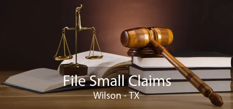 File Small Claims Wilson - TX