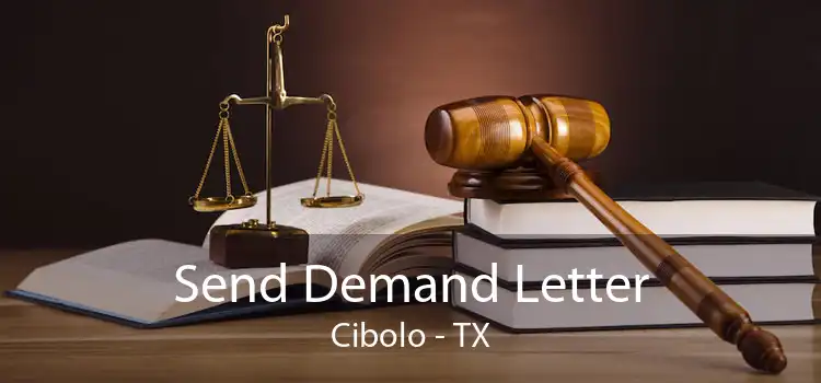 Send Demand Letter Cibolo - TX