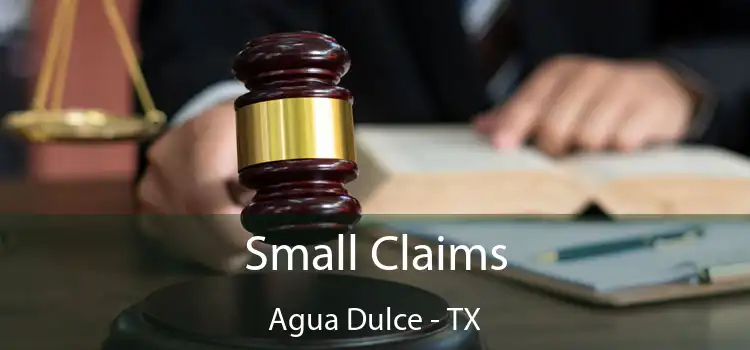 Small Claims Agua Dulce - TX