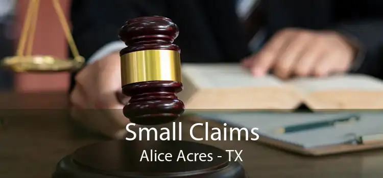 Small Claims Alice Acres - TX