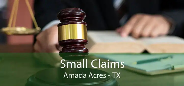 Small Claims Amada Acres - TX