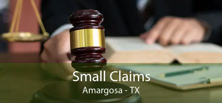 Small Claims Amargosa - TX