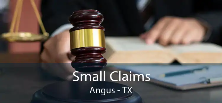 Small Claims Angus - TX