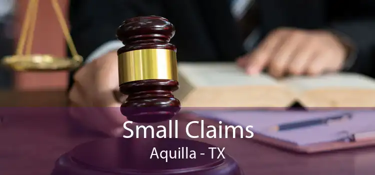 Small Claims Aquilla - TX