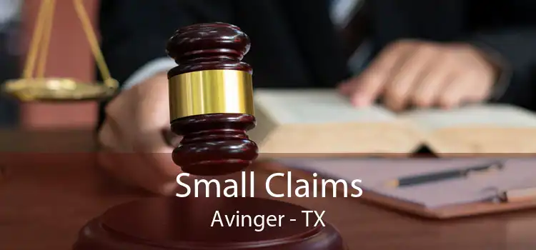 Small Claims Avinger - TX
