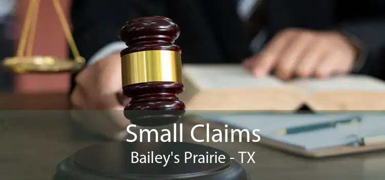 Small Claims Bailey's Prairie - TX