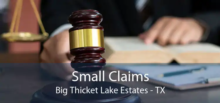 Small Claims Big Thicket Lake Estates - TX