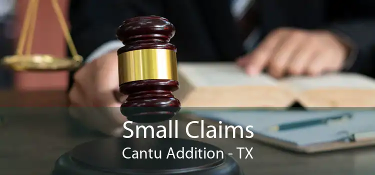 Small Claims Cantu Addition - TX