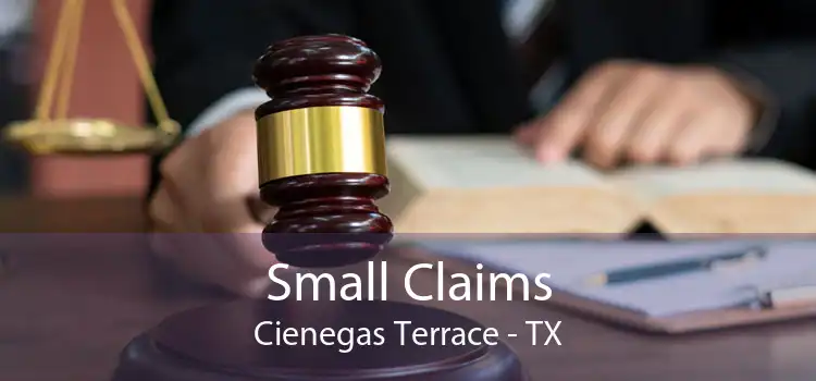 Small Claims Cienegas Terrace - TX