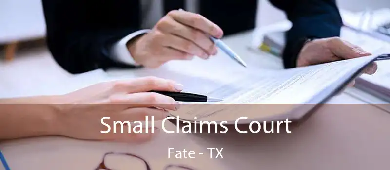  Small Claims Court Fate - TX