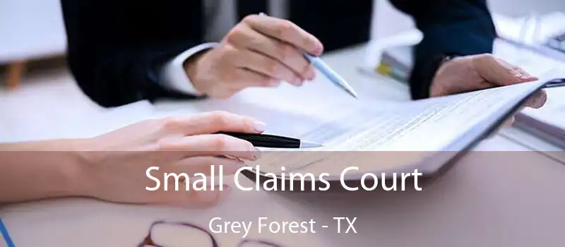 Small Claims Court Grey Forest - TX
