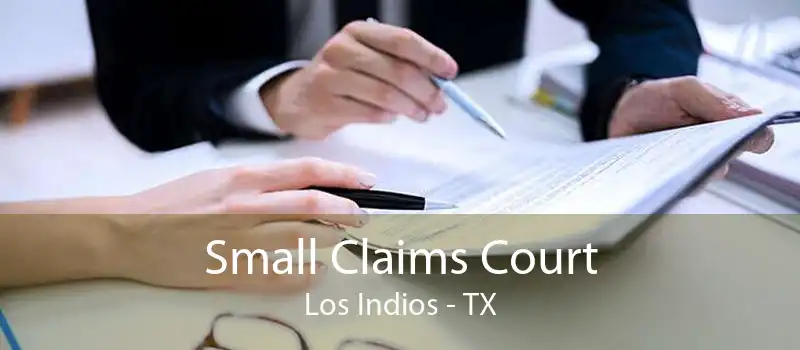 Small Claims Court Los Indios - TX