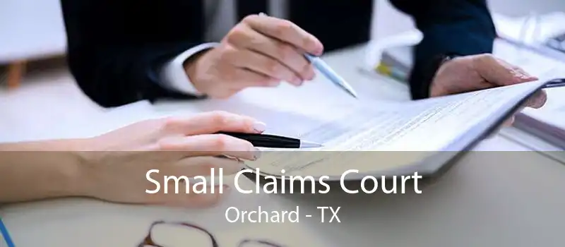 Small Claims Court Orchard - TX