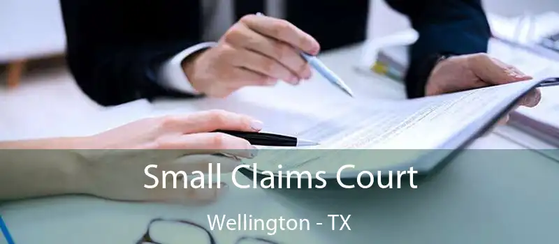  Small Claims Court Wellington - TX