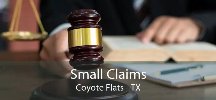 Small Claims Coyote Flats - TX