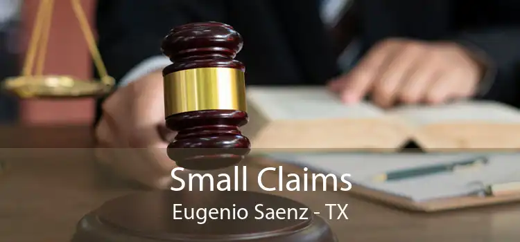 Small Claims Eugenio Saenz - TX