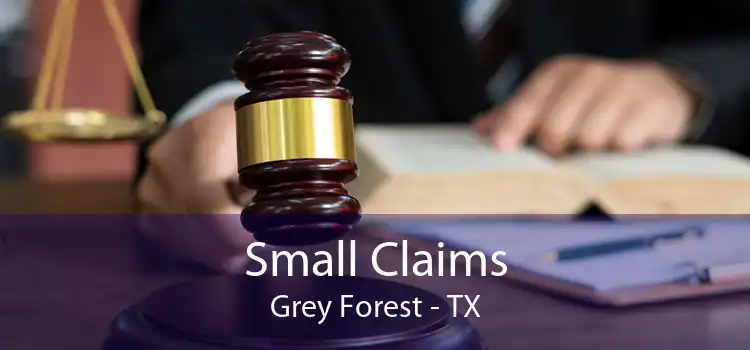 Small Claims Grey Forest - TX