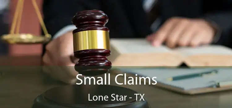  Small Claims Lone Star - TX