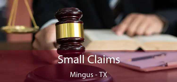  Small Claims Mingus - TX