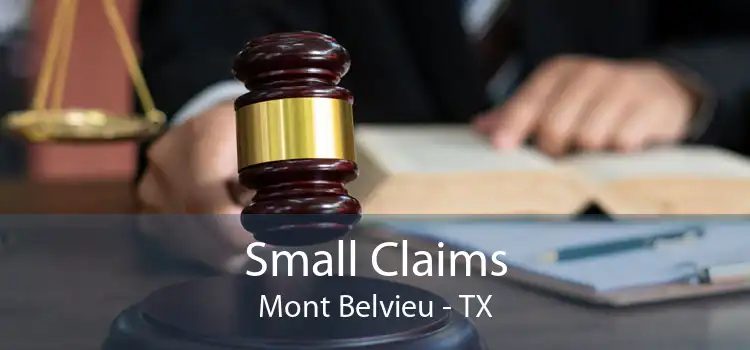 Small Claims Mont Belvieu - TX