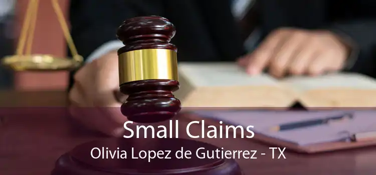 Small Claims Olivia Lopez de Gutierrez - TX