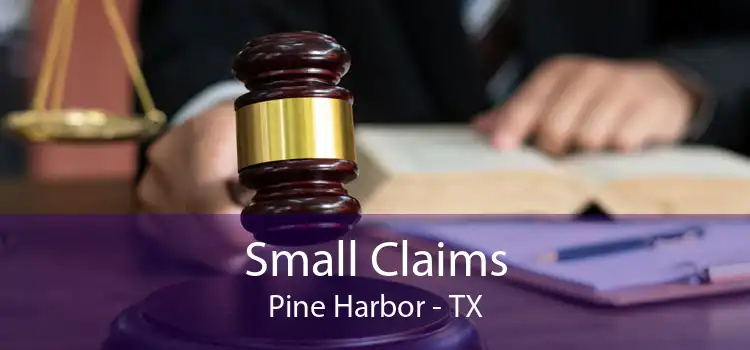 Small Claims Pine Harbor - TX