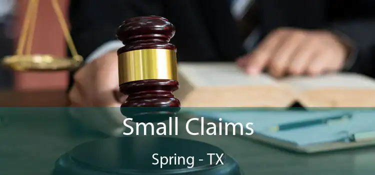 Small Claims Spring - TX