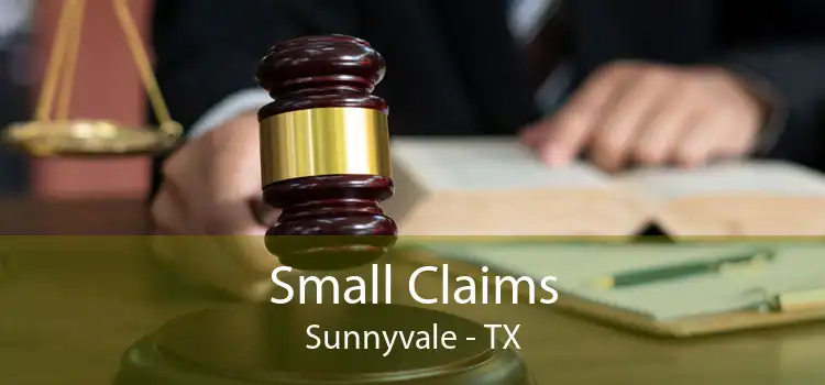 Small Claims Sunnyvale - TX