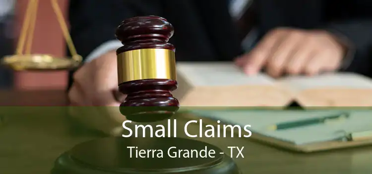 Small Claims Tierra Grande - TX